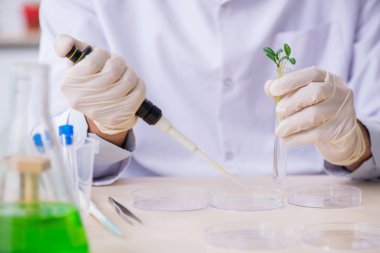 Laboratuvarda çalışan genç bir kimyager.