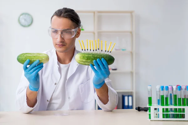 Male nutrition expert testing vegetables in lab