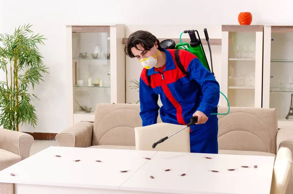 Young contractor doing pest control at home — Stock Photo, Image