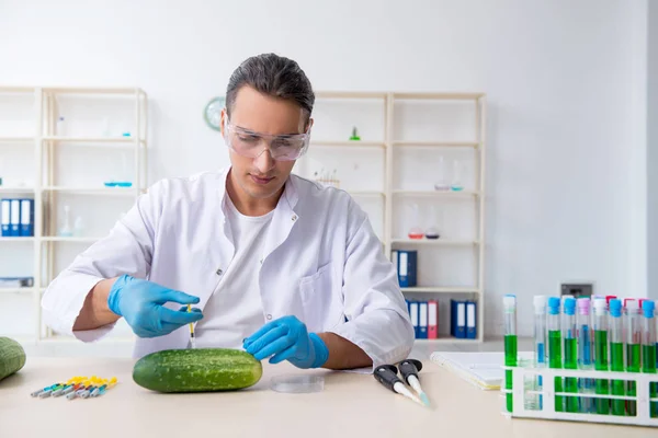 Експерт з тестування овочів у лабораторії — стокове фото
