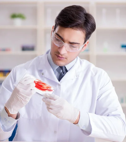 Criminólogo experto trabajando en el laboratorio para obtener evidencia —  Fotos de Stock