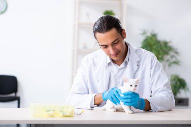 Genç erkek doktor hasta kediyi muayene ediyor.