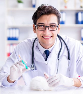 Hayvan hastanesinde tavşanı muayene eden veteriner.