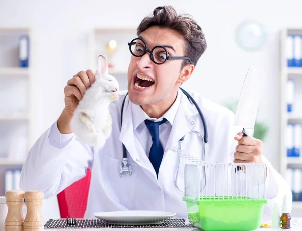Τρελός τρελός γιατρός ετοιμάζεται να φάει κουνέλι — Φωτογραφία Αρχείου
