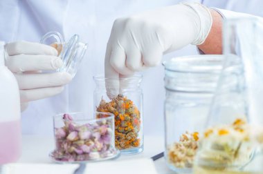 Laboratuvarda parfüm karıştıran bir kimyager.