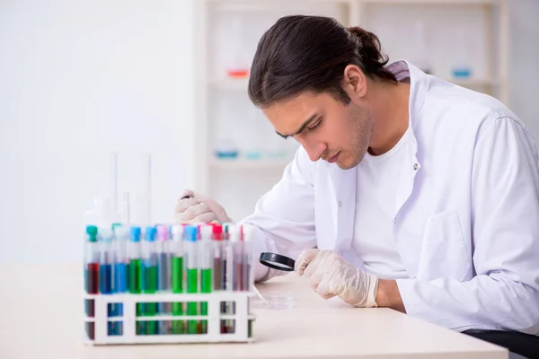 Jonge mannelijke chemicus werkzaam in het lab — Stockfoto