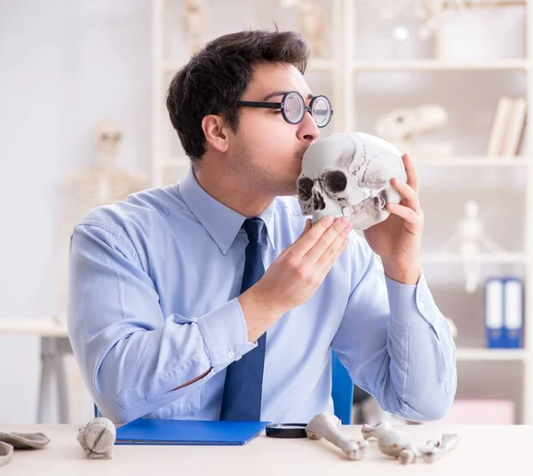 Grappige gekke professor bestudeert menselijk skelet — Stockfoto