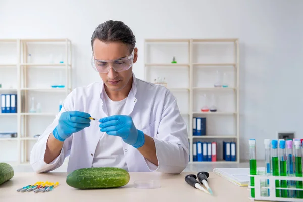 Experto en nutrición masculina prueba de verduras en laboratorio —  Fotos de Stock