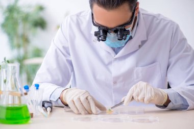 Laboratuvarda çalışan genç bir kimyager.