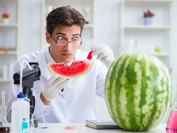 Scientifique testant pastèque en laboratoire — Photo