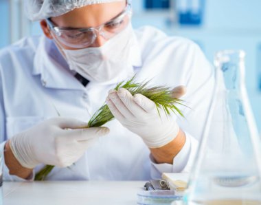 Laboratuvarda bilim adamıyla biyoteknoloji kavramı