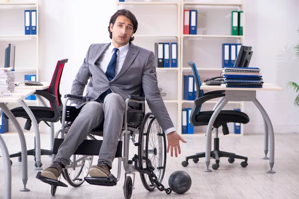 휠체어를 타고 사무실에서 일하는 젊고 잘생긴 고용인 — 스톡 사진