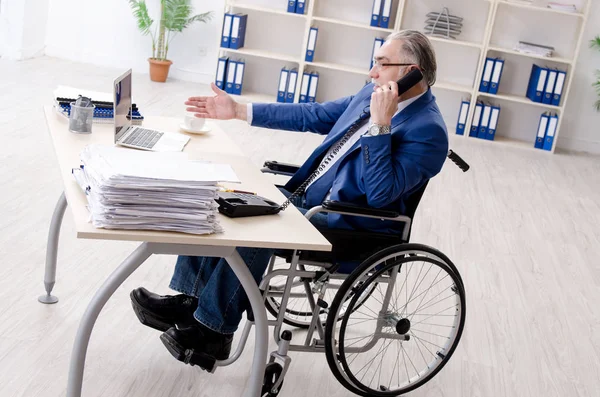 Aged employee in wheelchair working in the office — Stock Photo, Image