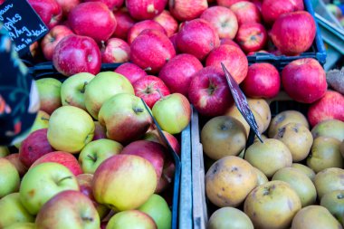 Pazar vitrinindeki elmalar