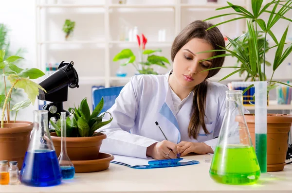 Joven química biotecnológica hermosa trabajando en el laboratorio —  Fotos de Stock