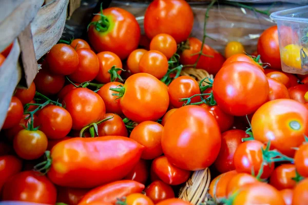 Tomatoes at the market display stall — Stock Photo, Image