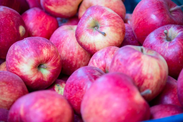 Manzanas en el puesto de exhibición del mercado — Foto de Stock