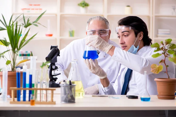 Dos químicos trabajando en el laboratorio —  Fotos de Stock