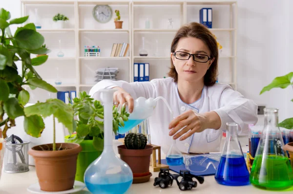 Mulher velha biotecnologia química que trabalha no laboratório — Fotografia de Stock