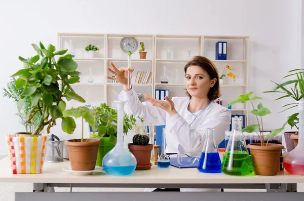 Vecchia chimica biotecnologica femminile che lavora in laboratorio — Foto Stock