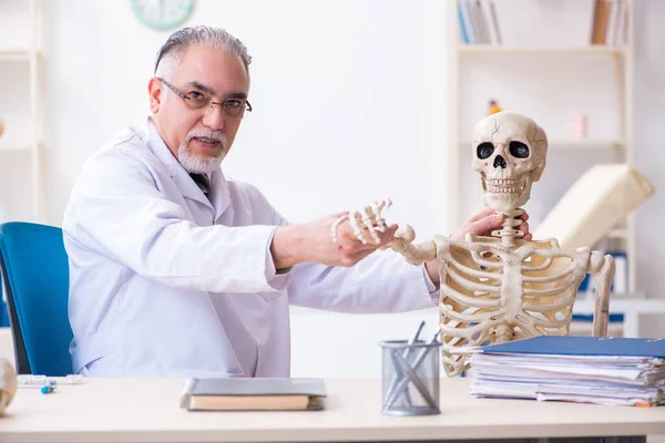 Aged male doctor with skeleton — Stock Photo, Image