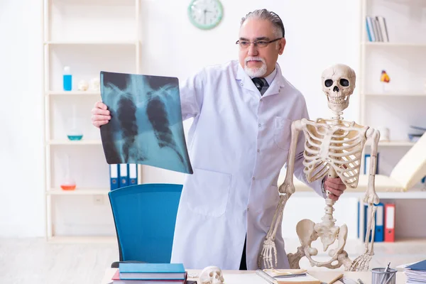 İskeleti olan yaşlı erkek doktor. — Stok fotoğraf