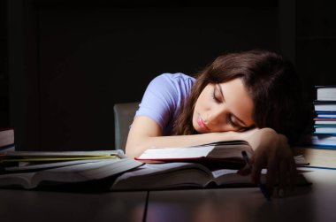 Evde sınavlara hazırlanan genç bir kız öğrenci.