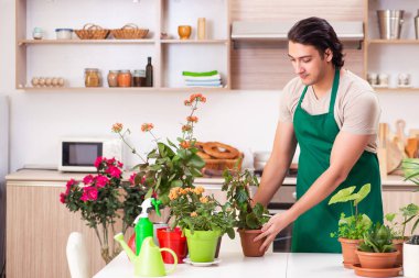 Genç yakışıklı adam evde çiçek yetiştiriyor.