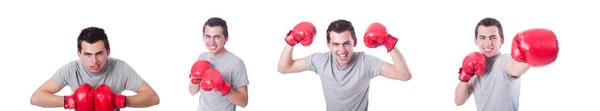 Boxer se preparando para o torneio isolado em branco — Fotografia de Stock