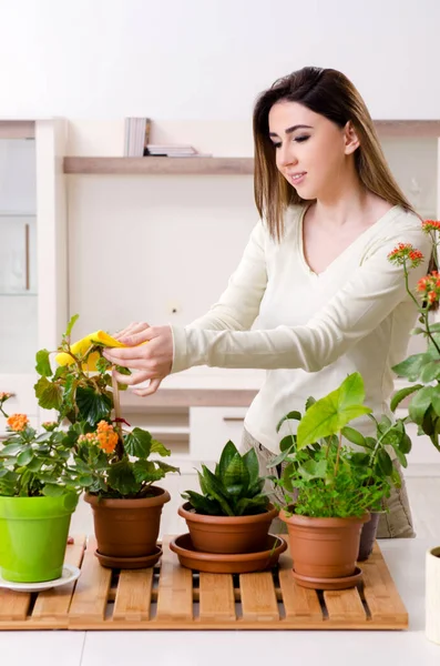 Ung kvinnlig trädgårdsmästare med växter inomhus — Stockfoto