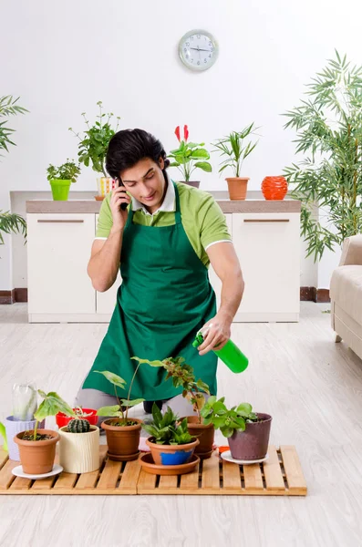 Jeune jardinier masculin avec des plantes à l'intérieur — Photo