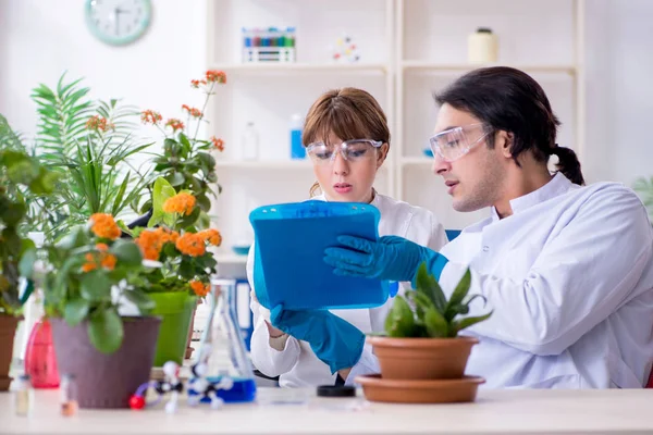 Dos jóvenes botánicos trabajando en el laboratorio —  Fotos de Stock