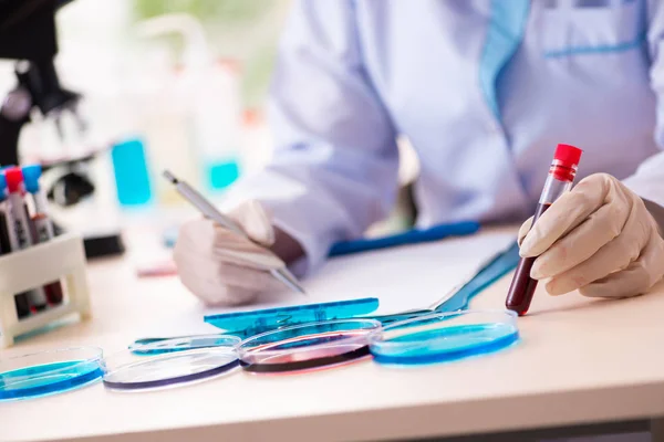 Giovane chimica femminile che lavora in laboratorio — Foto Stock