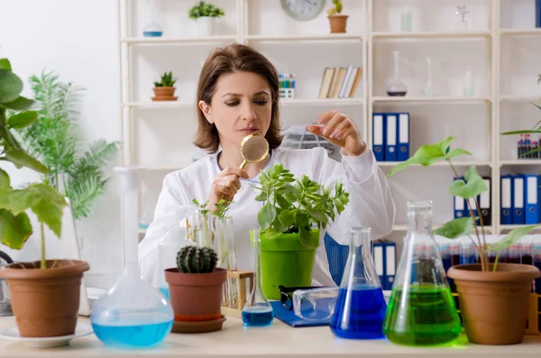 Mulher velha biotecnologia química que trabalha no laboratório — Fotografia de Stock