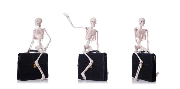 Skeleton with suitcase isolated on white — Stock Photo, Image