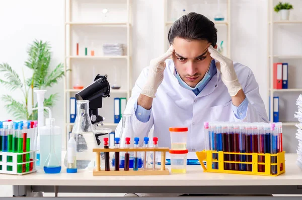 Joven químico masculino trabajando en el laboratorio —  Fotos de Stock