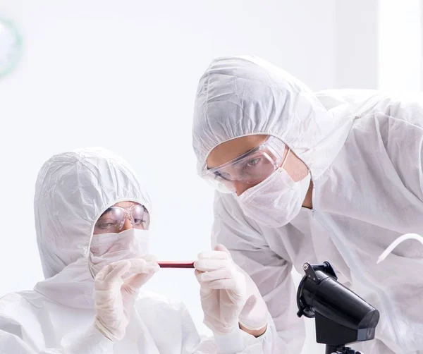 Два хіміки працюють в лабораторії — стокове фото