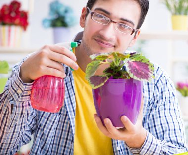 Bahçıvan çiçekçide çalışıyor. Çiçekçide çalışıyor.