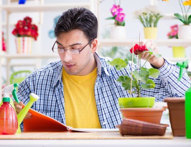 Bahçıvan çiçekçide çalışıyor. Çiçekçide çalışıyor.