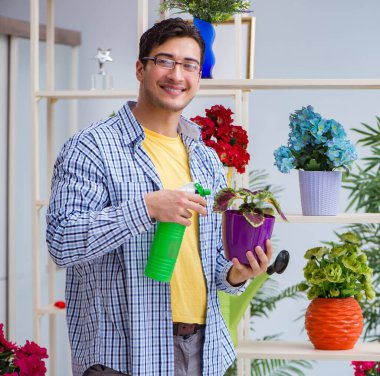 Çiçekçide çalışan genç bir adam.