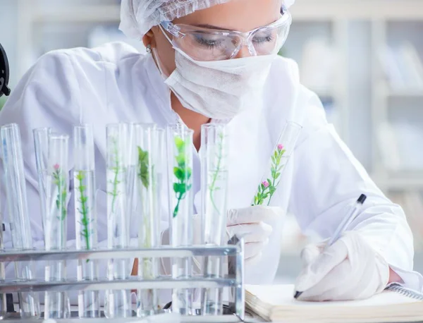Vrouwelijke wetenschapper onderzoeker voert een experiment uit in een laboratorium — Stockfoto