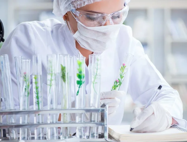 Pesquisadora cientista conduzindo uma experiência em um labora — Fotografia de Stock