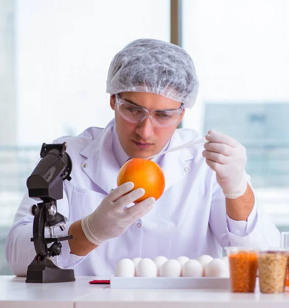 Nutrition expert testing food products in lab Stock Picture