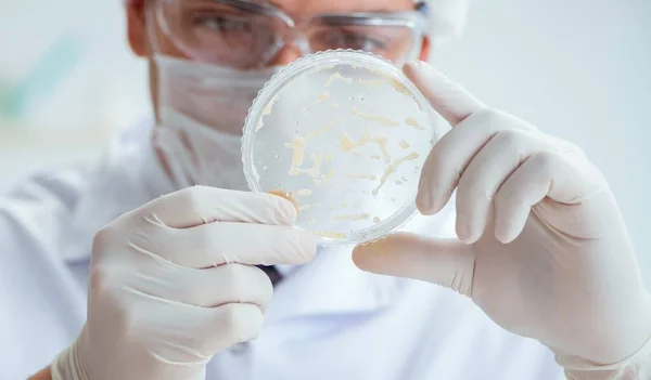 Médico pesquisando tratamento de vírus em laboratório — Fotografia de Stock