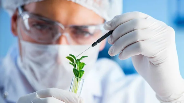 Biotechnologie-Konzept mit Wissenschaftlern im Labor — Stockfoto