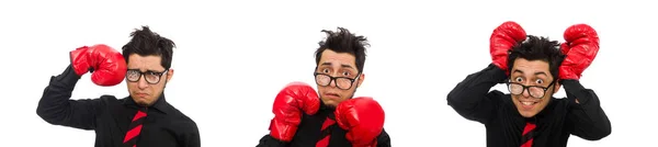 Hombre hombre de negocios con guantes de boxeo rojo —  Fotos de Stock