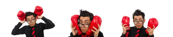 Man zakenman met rode bokshandschoenen — Stockfoto