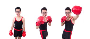 Beyaz arka planda izole edilmiş komik boksör