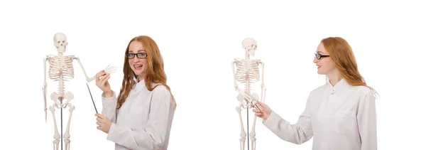 Mladá žena lékař s kostrou izolované na bílém — Stock fotografie