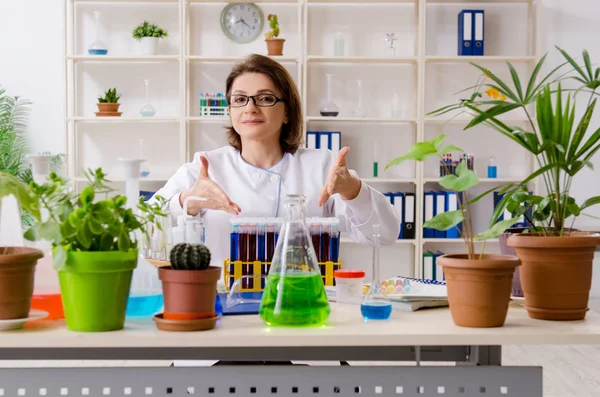 Laboratuvarda çalışan yaşlı kadın biyoteknoloji kimyageri. — Stok fotoğraf